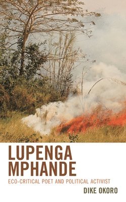 bokomslag Lupenga Mphande