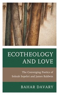 bokomslag Ecotheology and Love