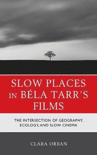 bokomslag Slow Places in Bla Tarr's Films