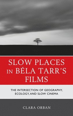 bokomslag Slow Places in Béla Tarr's Films