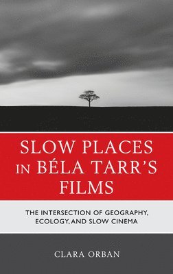 Slow Places in Bla Tarr's Films 1