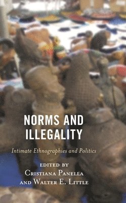 bokomslag Norms and Illegality