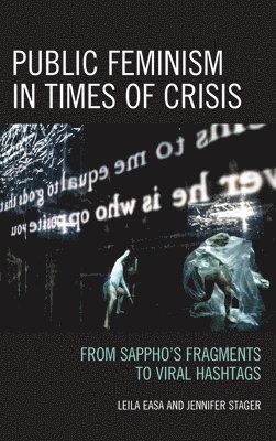 bokomslag Public Feminism in Times of Crisis