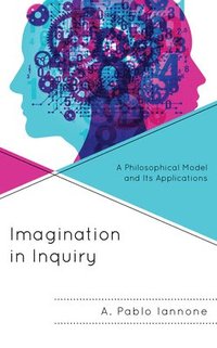bokomslag Imagination in Inquiry
