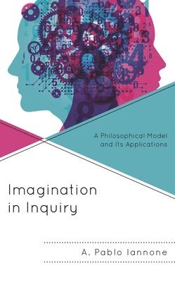 bokomslag Imagination in Inquiry