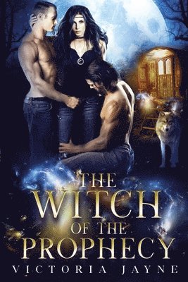 bokomslag The Witch Of The Prophecy