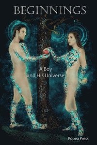 bokomslag Beginnings: a Boy and His Universe