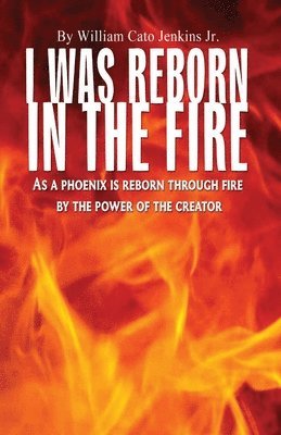 William Jenkins - I Was Reborn in the Fire, Häftad