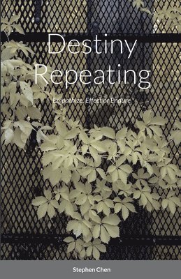Stephen Chen - Destiny Repeating, Häftad
