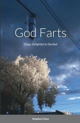 Stephen Chen - God Farts, Häftad