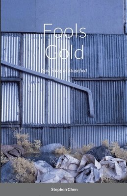 Stephen Chen - Fools Gold, Häftad