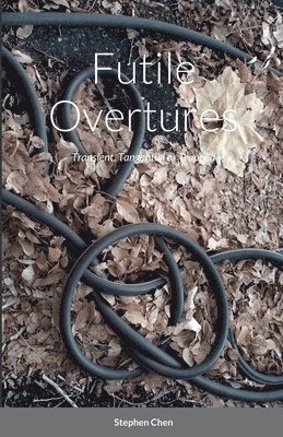 Stephen Chen - Futile Overtures, Häftad