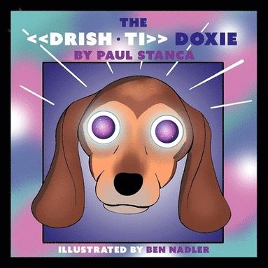 bokomslag DRISHTI DOXIE