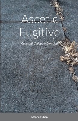 bokomslag Ascetic Fugitive