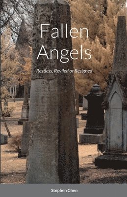 Stephen Chen - Fallen Angels, Häftad