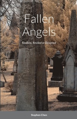 Fallen Angels 1