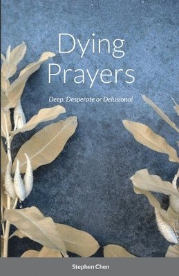 Stephen Chen - Dying Prayers, Häftad