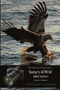 bokomslag The Friedman Archives Guide to Sony's A7R IV (B&W Edition)