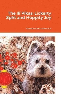 bokomslag Ili Pikas