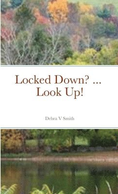 Locked Down? ... Look Up! 1