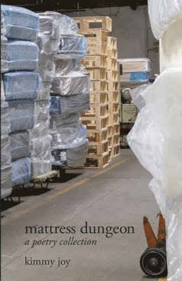 bokomslag mattress dungeon