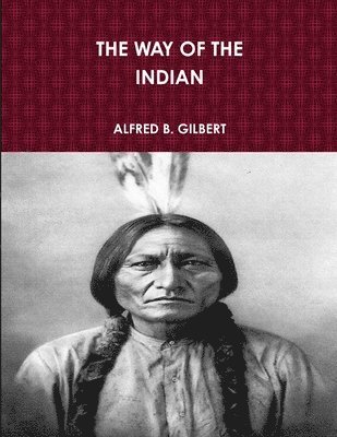 bokomslag The Way of the Indian