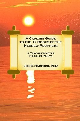 bokomslag Concise Guide to the 17 Books of the Hebrew Prophets