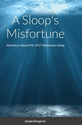 bokomslag Sloop's Misfortune