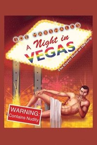 bokomslag A Night in Vegas
