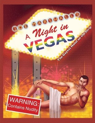 bokomslag A Night in Vegas (readers copy)