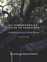 bokomslag A Comprehensive Guide to Freebirth