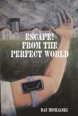 Dan Michalski - Escape from the Perfect World, Häftad