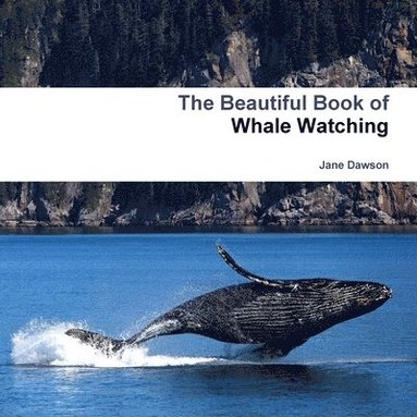 bokomslag Beautiful Book of Whale Watching