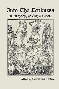 bokomslag Into The Darkness: An Anthology of Gothic Fiction