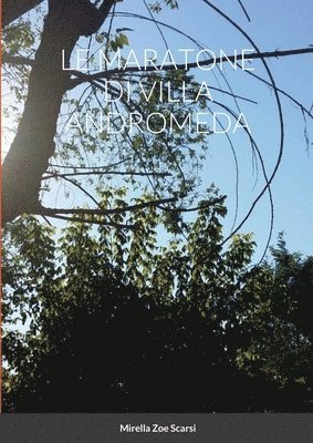 bokomslag Maratone Di Villa Andromeda