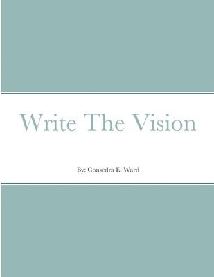 bokomslag Write The Vision