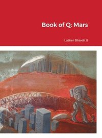 bokomslag Book of Q