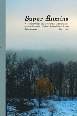 bokomslag Super flumina Issue 1