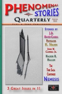 bokomslag Phenomenal Stories Quarterly, Vol. 2, No. 4, Winter 2019