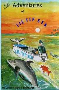 bokomslag The Adventures Of LiL Tip Sea: Hurricane Irma