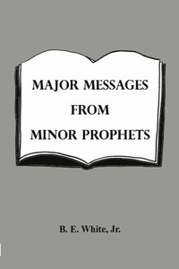 bokomslag Major Messages from Minor Prophets