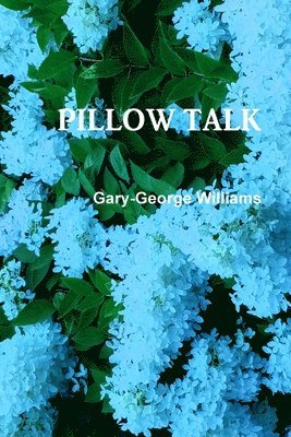 bokomslag PILLOW TALK