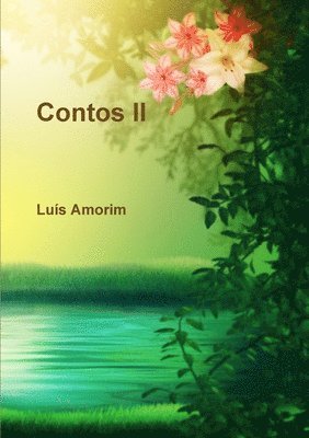 bokomslag Contos II