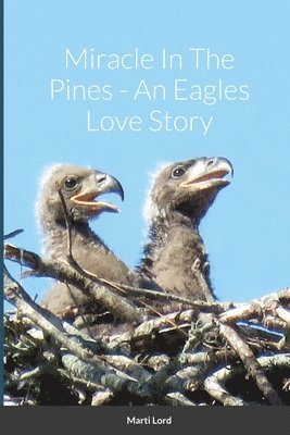 bokomslag Miracle In The Pines - An Eagles Love Story