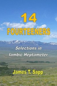 bokomslag 14 Fourteeners: Selections in Iambic Heptameter