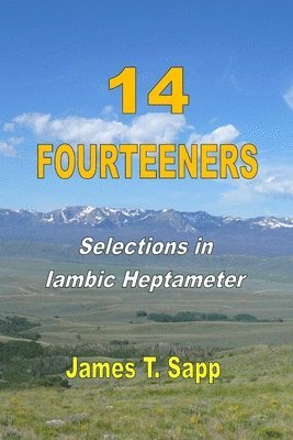 bokomslag 14 Fourteeners: Selections in Iambic Heptameter