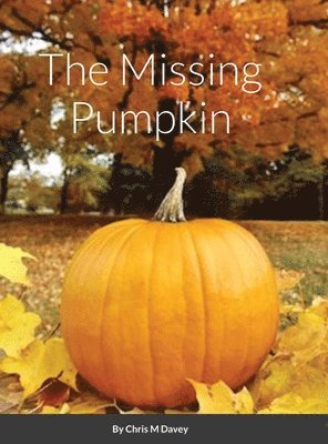 bokomslag The Missing Pumpkin