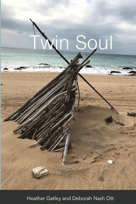 Twin Soul 1