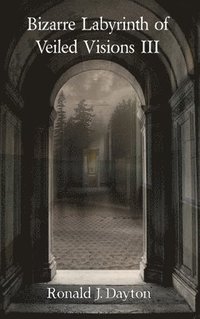 bokomslag Bizarre Labyrinth of Veiled Visions III