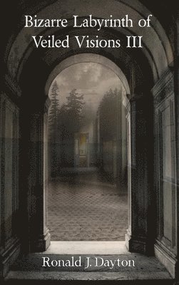 bokomslag Bizarre Labyrinth of Veiled Visions III